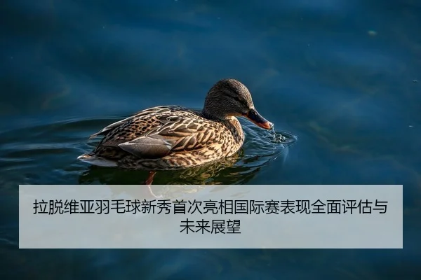 拉脱维亚羽毛球新秀首次亮相国际赛表现全面评估与未来展望